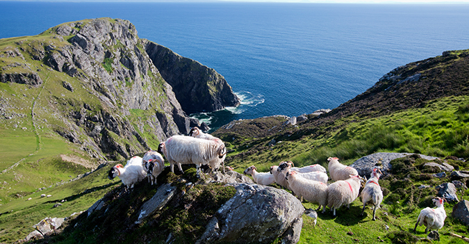 Slieve League Cliffs - Donegal Northwest Knitting Retreat
