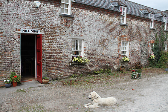 Kerry Woollen Mills - South of Ireland Knitting Tour