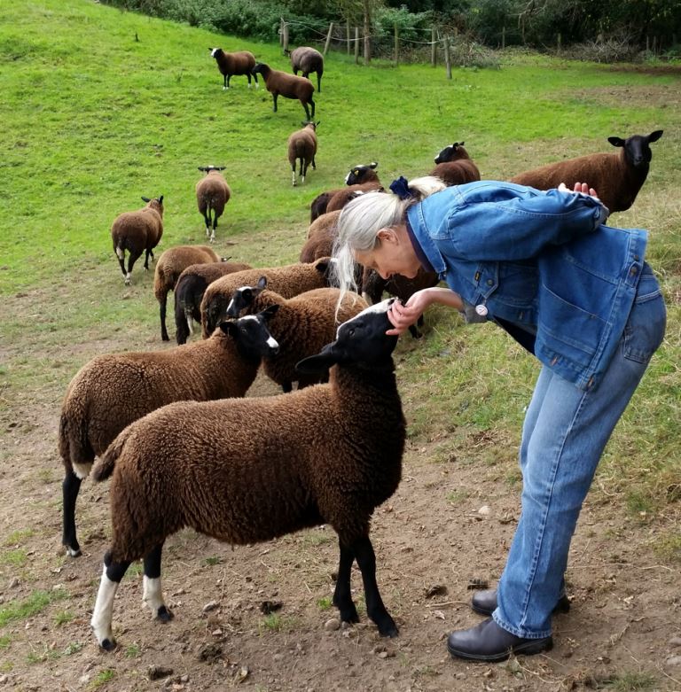 Kilkenny Things to Do Zwartables Farm - Kerry & Kilkenny Irish Knitting and Craft Tour