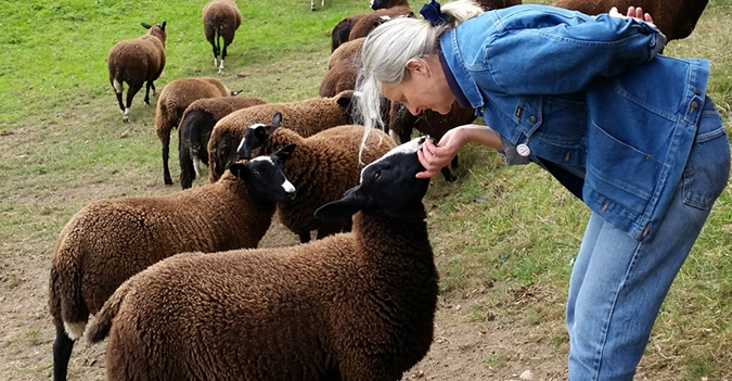 Zwartables Farm Kilkenny - Southwest Ireland Kerry Knitting Retreat