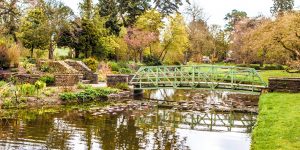 Dublin Botanical Gardens