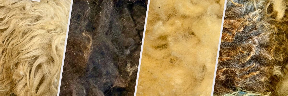Collage of various types of Irish wool