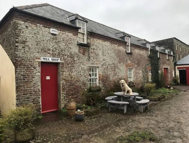 An exterior view of an old, weathered brick building featuring a red door with a 